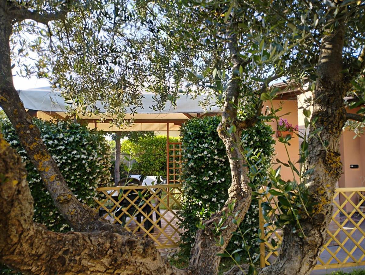 Melody House - Dependance Villa Castel del Bosco  Dış mekan fotoğraf