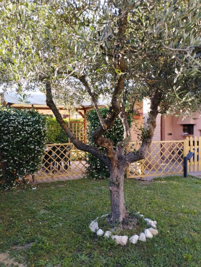 Melody House - Dependance Villa Castel del Bosco  Dış mekan fotoğraf